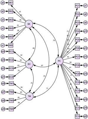 Student Evaluation of Teachers’ Effectiveness (SETE) scale: translation, cross-cultural adaptation and psychometric properties in a Latin American sample